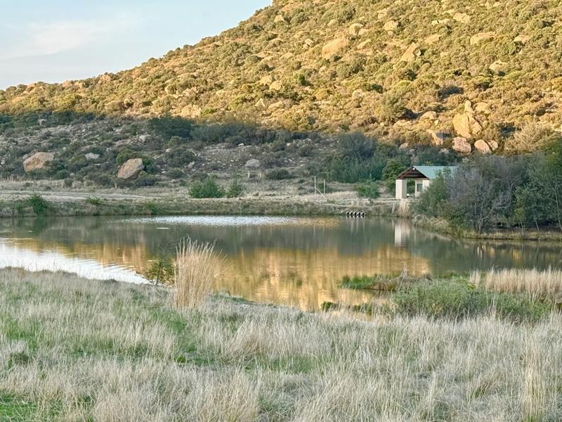 20 Bedroom Property for Sale in Paul Roux Free State